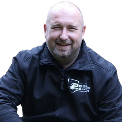 Kakkerlakkenbestrijding-Ede